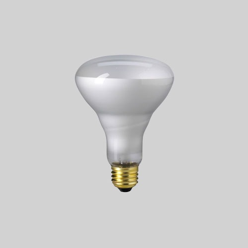 65BR30/FL-130V 65W 130V Flood BR30 Medium Base
