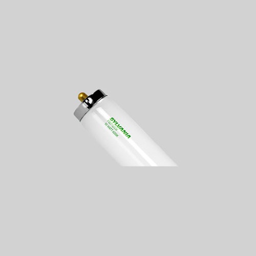 F60T12/CW T12 Fluorescent Lamp