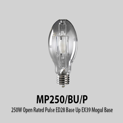 MP250-BU-P