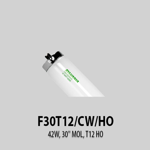 F30T12-CW-HO