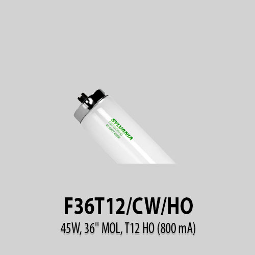 F36T12-CW-HO