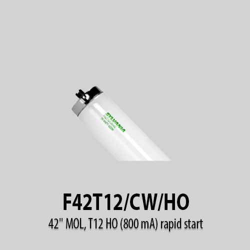 F42T12-CW-HO