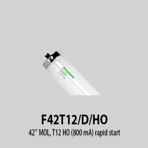 F42T12-D-HO