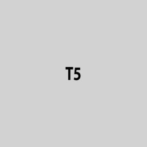 T5